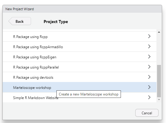 `martelosim workshop`